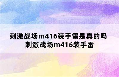 刺激战场m416装手雷是真的吗 刺激战场m416装手雷